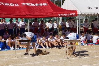 平成30年度　大塚祭　体育の部　写真70