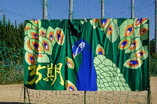 平成30年度　大塚祭　体育の部　写真91